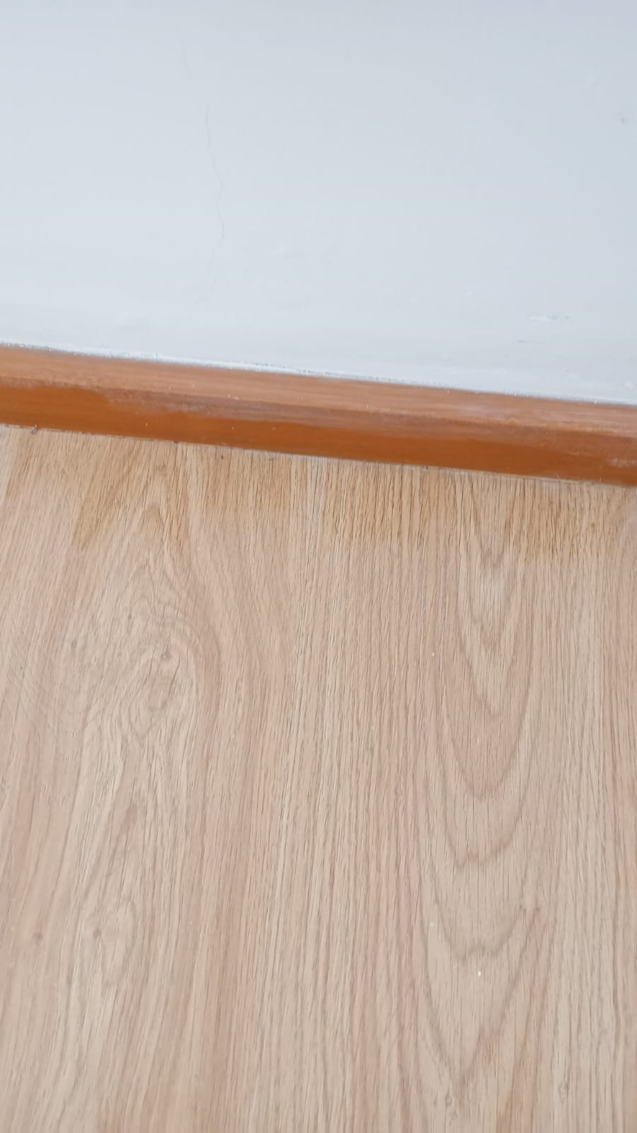 Persianas y soluciones decorativas
